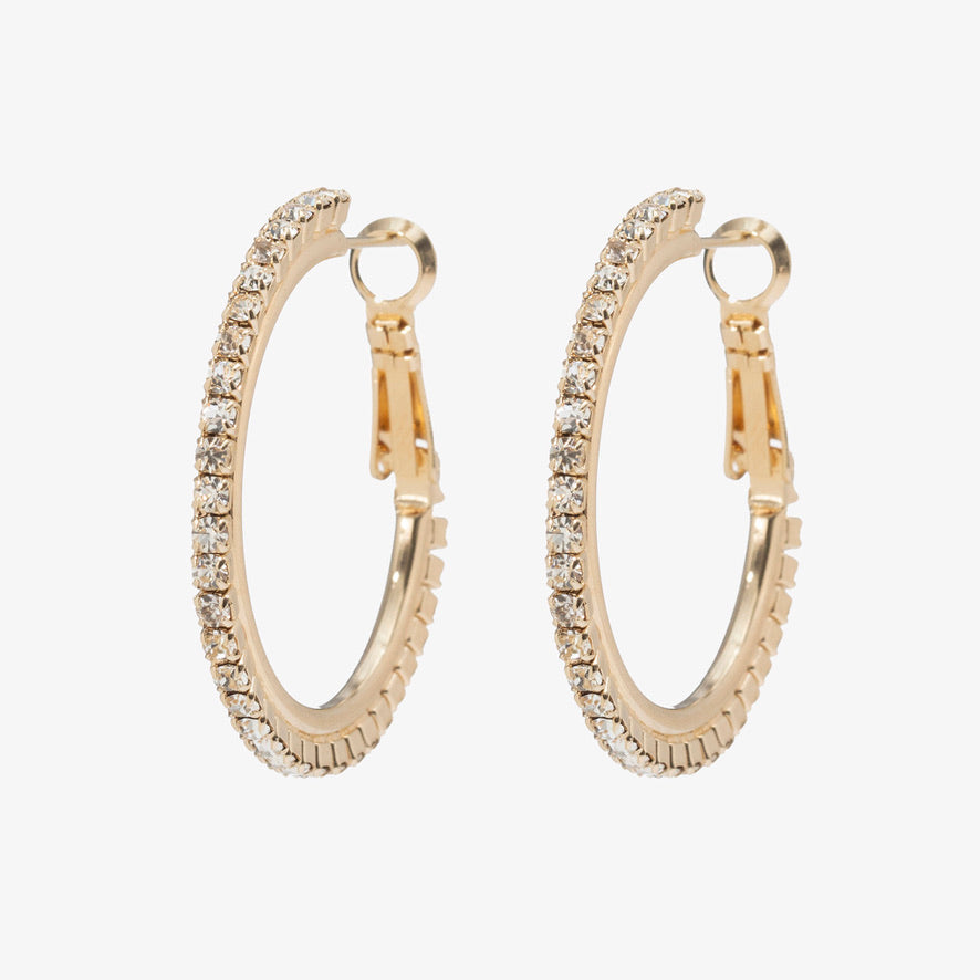 Small Hoop Gold Clear Earrings