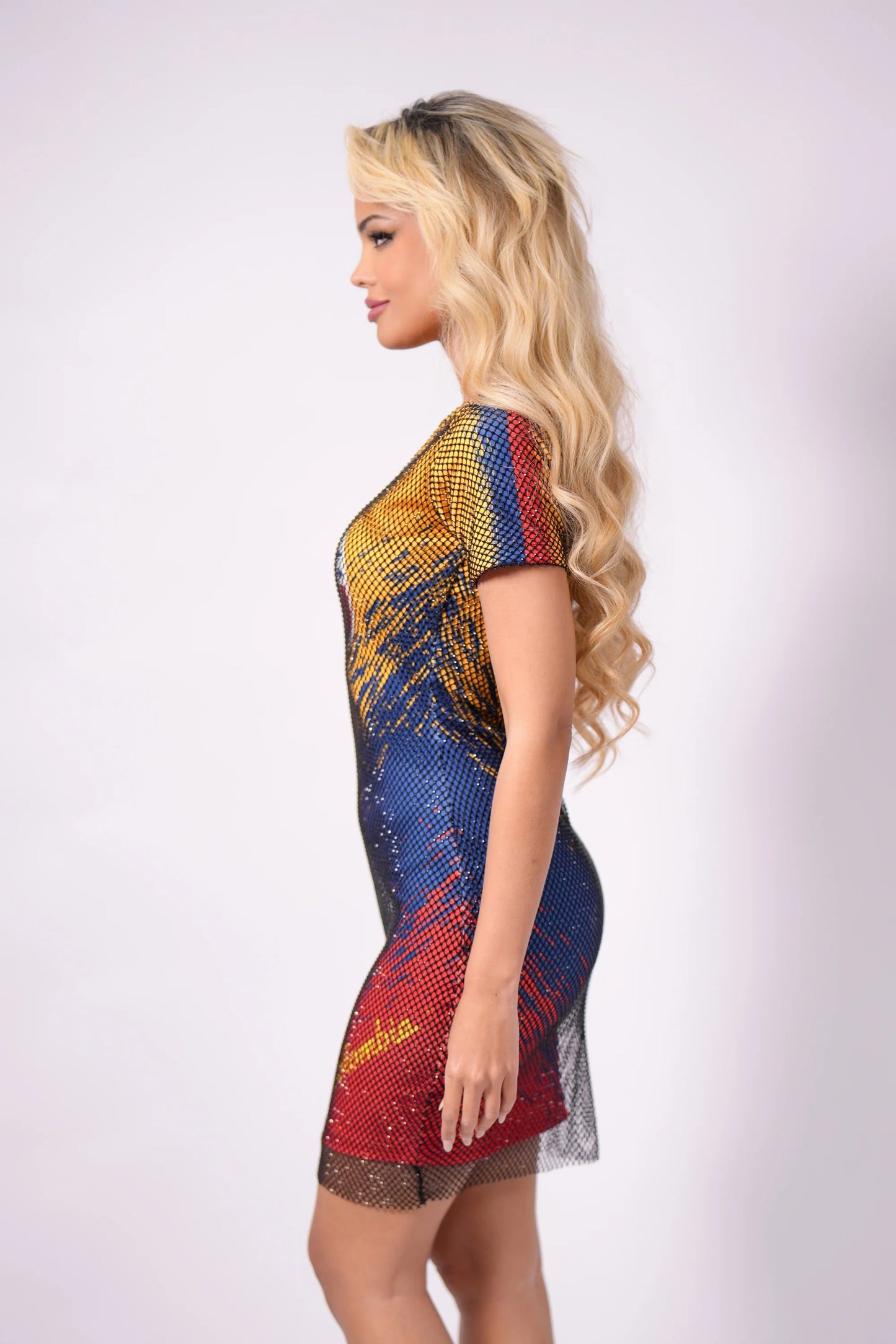 BIOP Colombia Crystal Mesh Dress