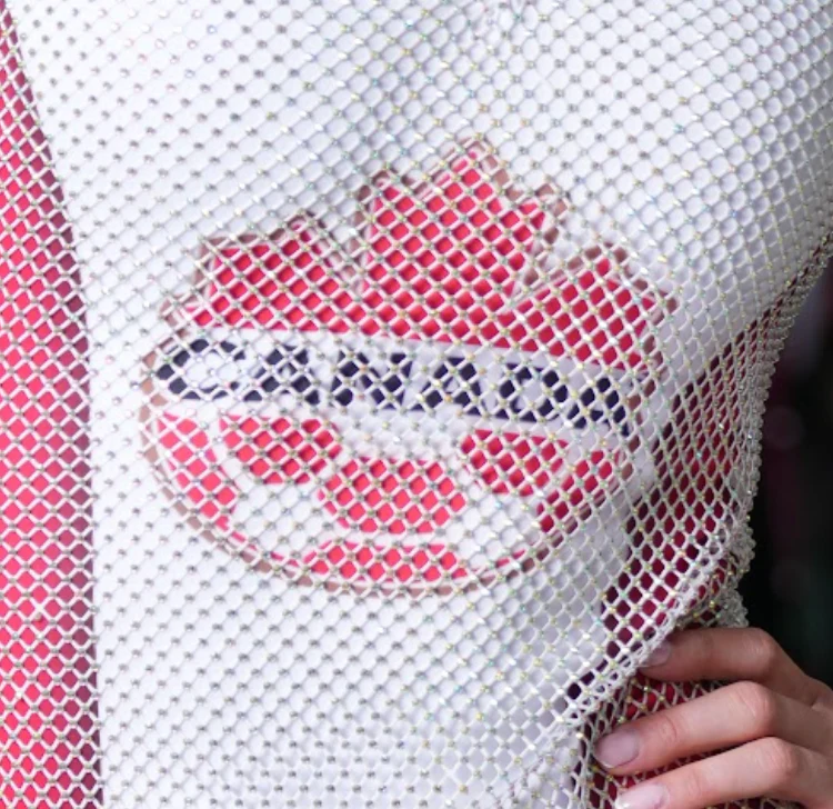 BIOP Canada Crystal Mesh Dress