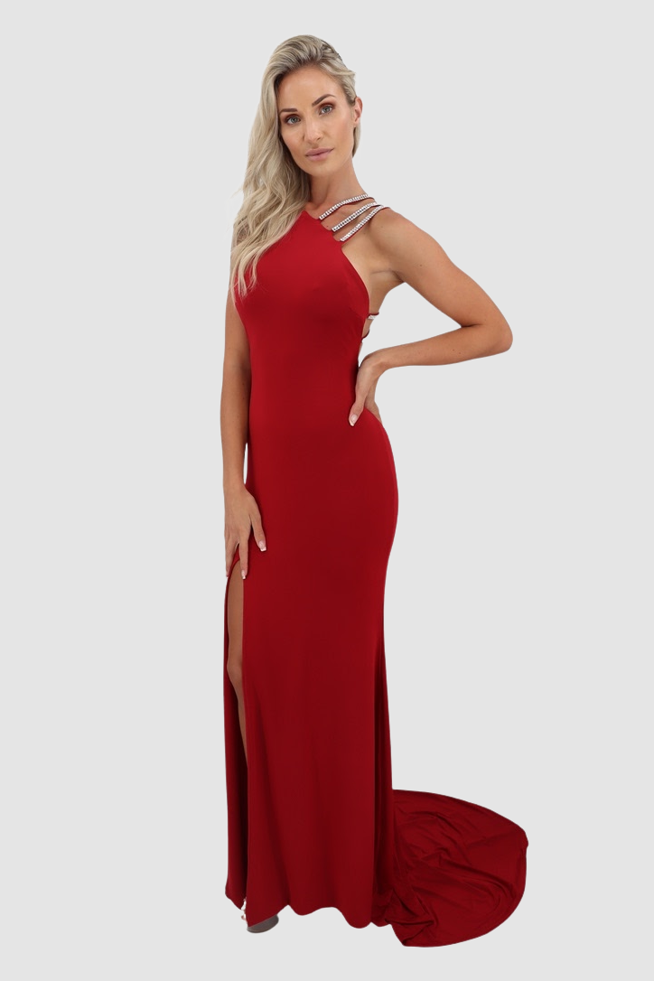 VIE SAUVAGE Meave Red/Silver Long Dress