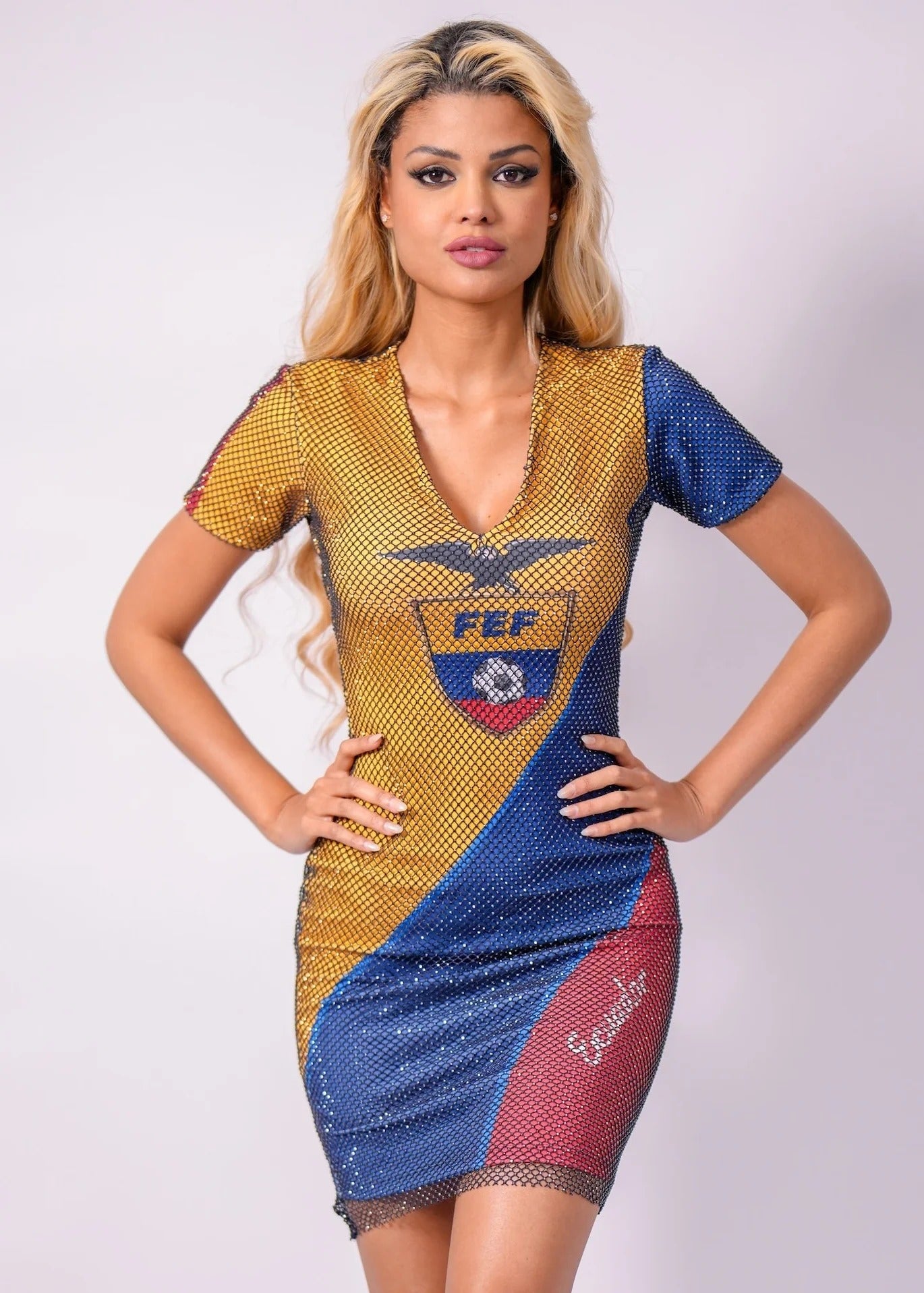 BIOP Ecuador Crystal Mesh Dress